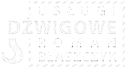 Usługi dźwigowe Kielce – Wynajem dźwigów, podnośników i ładowarek | Świętokrzyskie